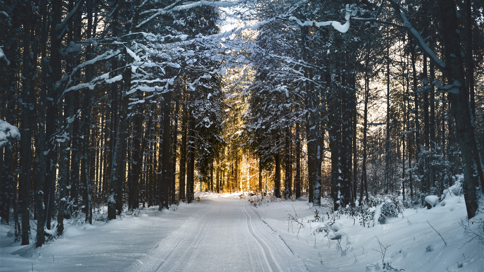 Embracing Winter Wellness with Mountrax